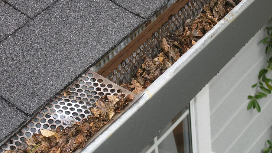 Leaves collected in a gutter fitted with a mesh guard along a roof edge
