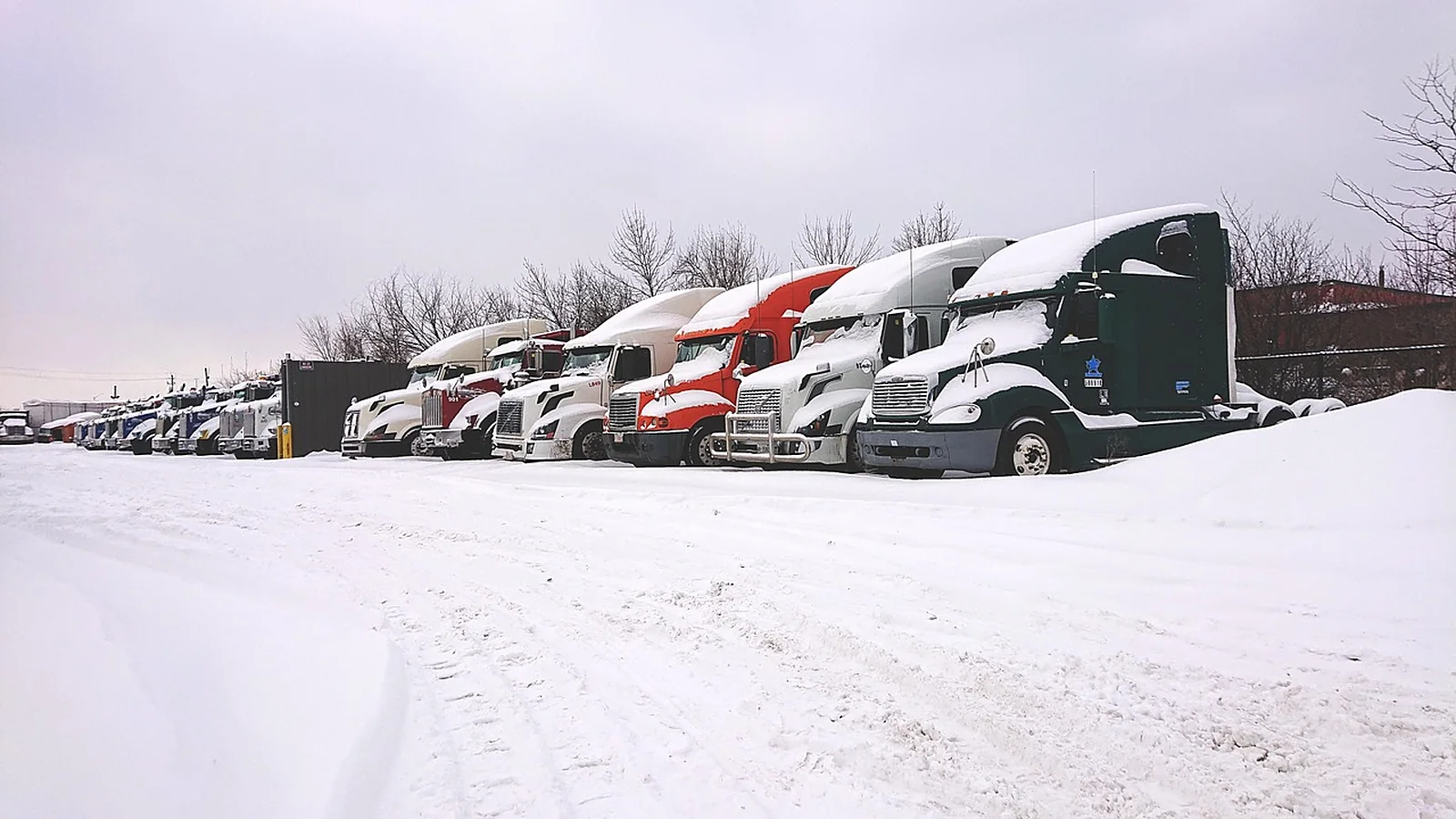 Semi trucks parked in a row on a snow-covered lot under an overcast sky
